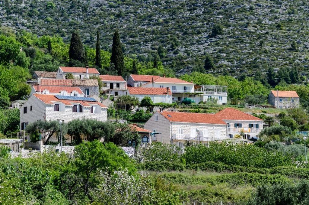 Guesthouse Moretic Orašac Værelse billede