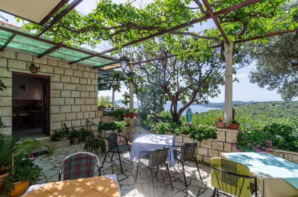 Guesthouse Moretic Orašac Værelse billede