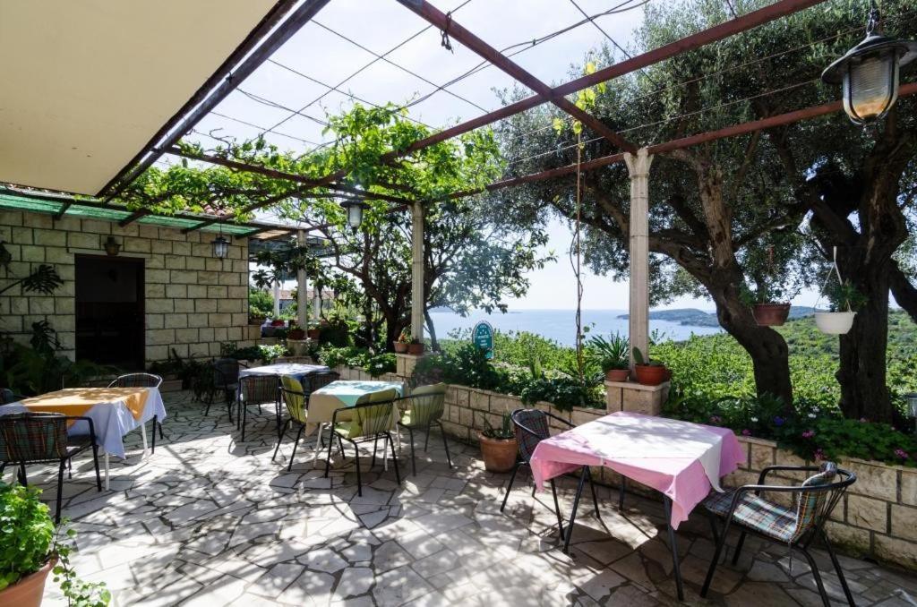 Guesthouse Moretic Orašac Værelse billede