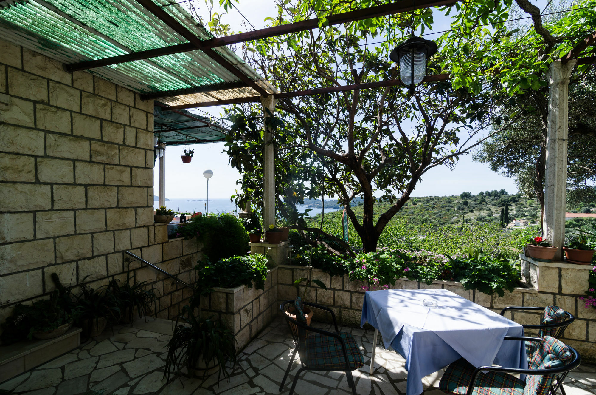 Guesthouse Moretic Orašac Eksteriør billede