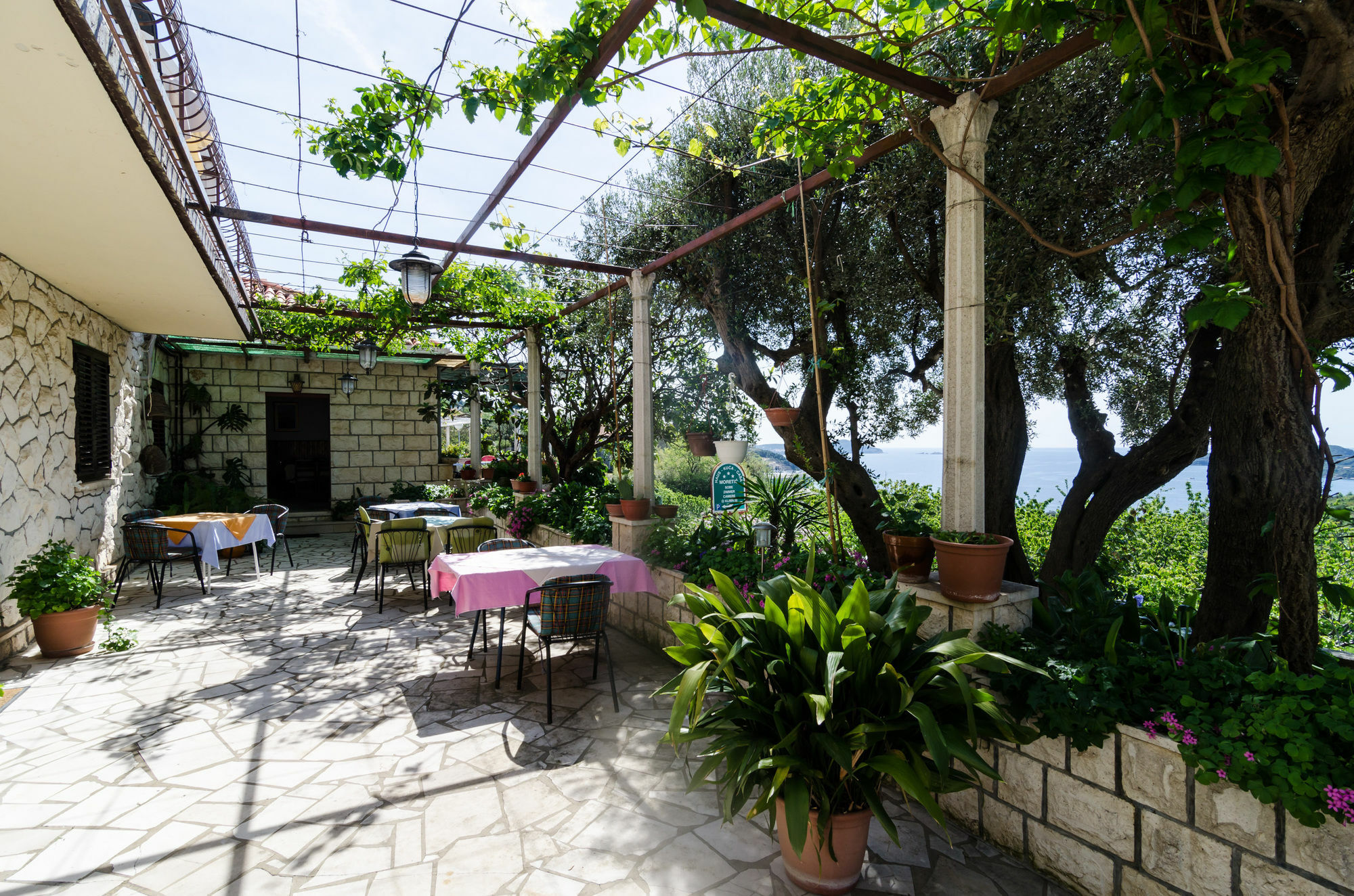 Guesthouse Moretic Orašac Eksteriør billede